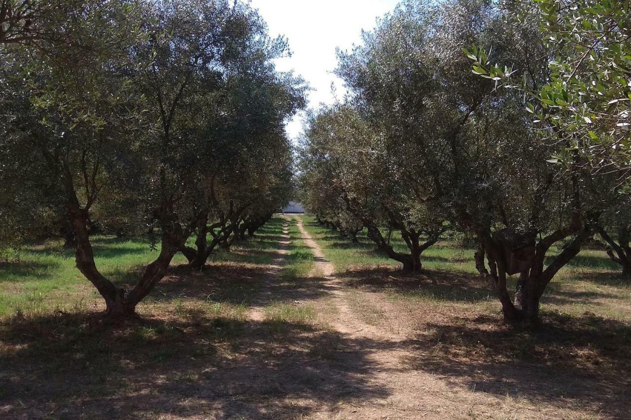 Mallios Home Floka Close To Ancient Olympia Flokas Extérieur photo
